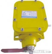 縱向撕裂開關(guān)YHZL-I、YHZL-IIBZL-220B防爆縱向撕裂保護(hù)裝置